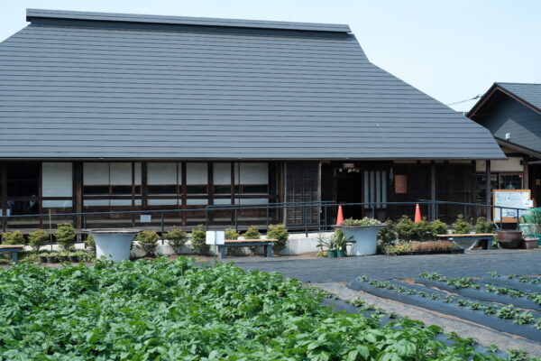 農園見学「すぎのこ農園」