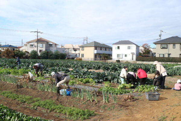 調布市の体験農園「chofuみらいfarm」