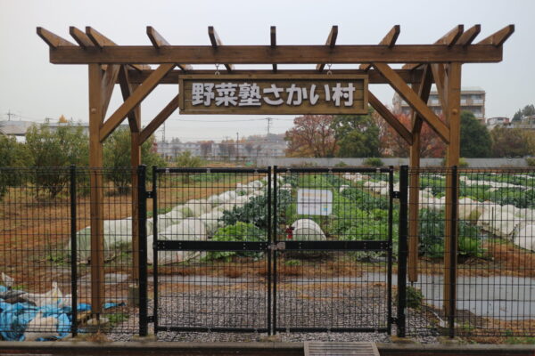 農園見学「野菜塾さかい村」